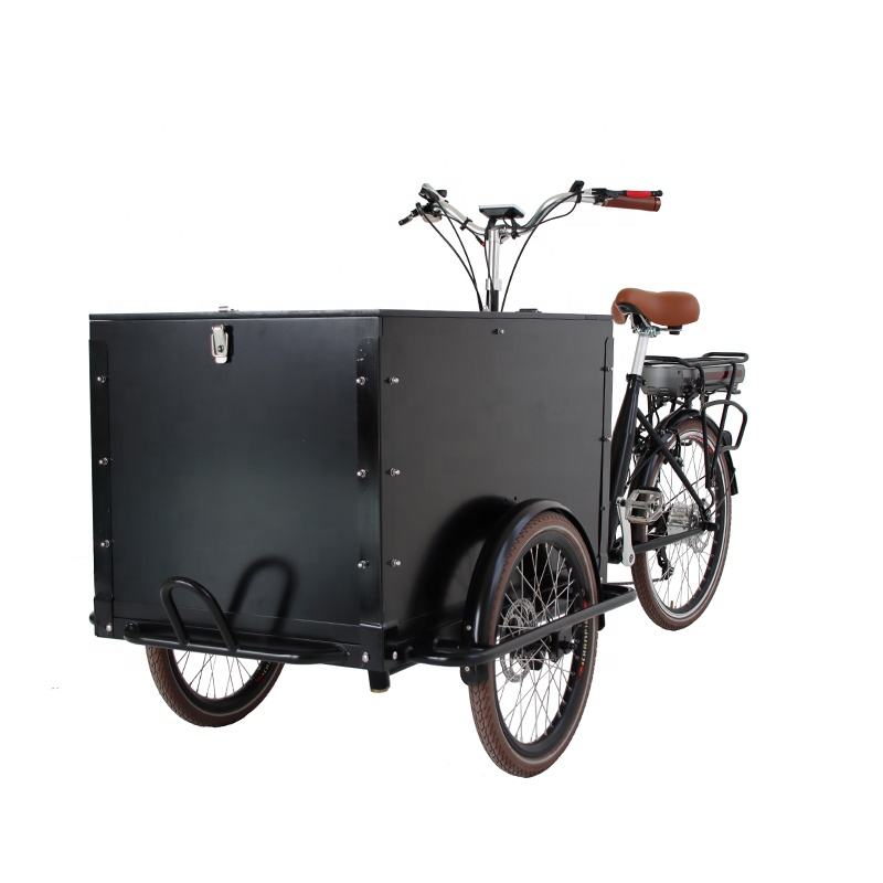 High Quality Three Wheels Curving Cargo Adults Bike Electric Tricycle Motorcycles For Family