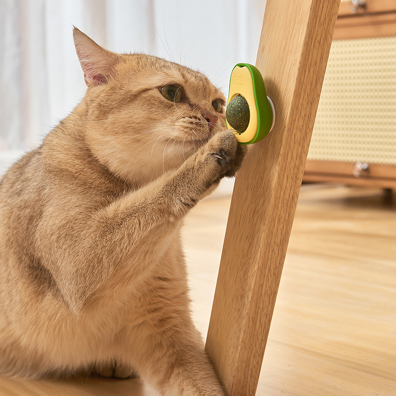 New Products Avocado Shape Toy Cat Paw Shape Gall Fruit Ball Rotated Fun Self-hey Cat Catnip Toy 